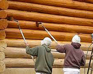 We are your Log Home Staining Florida
